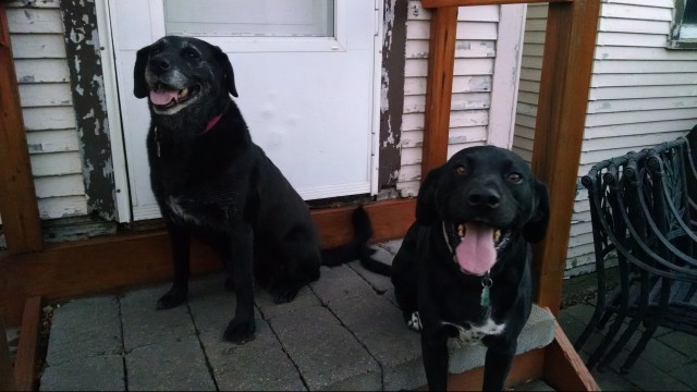 IMG_20161103_181450434