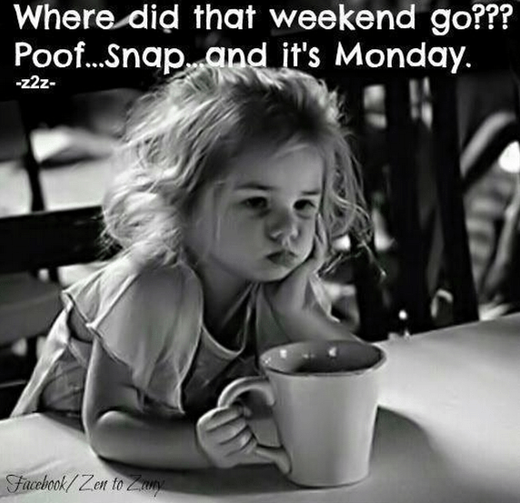 Monday Meme 9