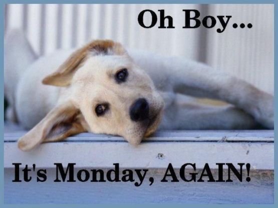 169401-Oh-Boy-Its-Monday-Again