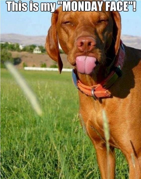 169409-My-Monday-Face