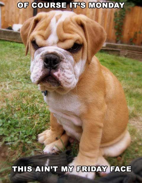 1bca71a613dae43e2fd85edc9ae0cc07