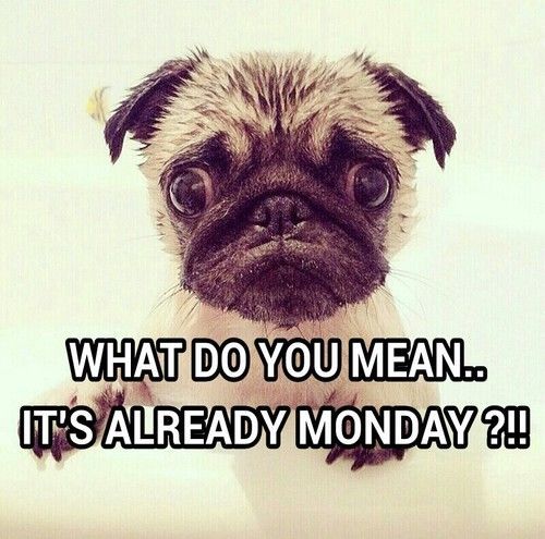 I Can't Monday 9