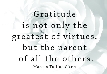 gratitude-cicero-meme1
